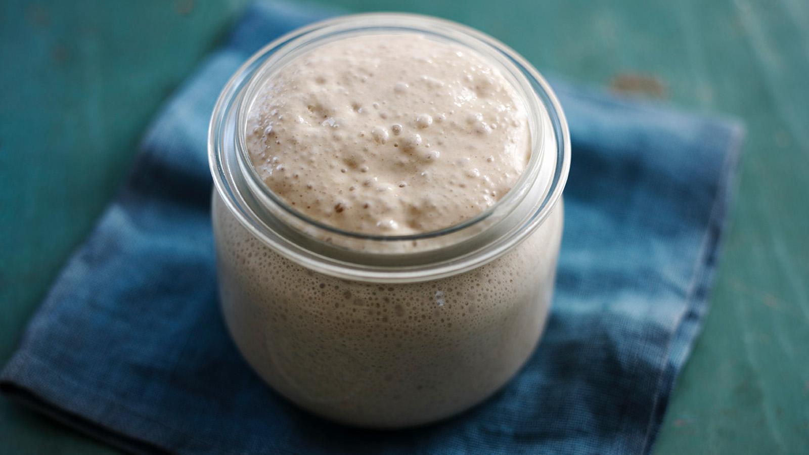 sourdough-starter-recipe